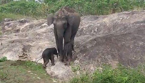 വീഡിയോ ദൃശ്യം