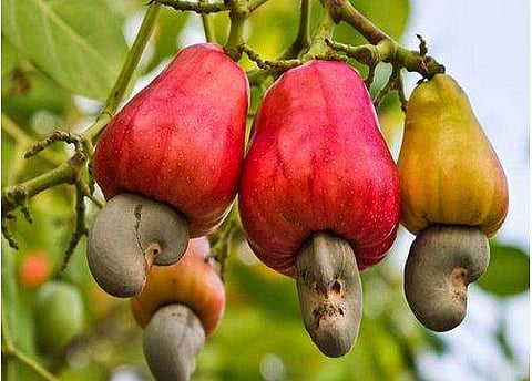 ഫയല്‍ ചിത്രം