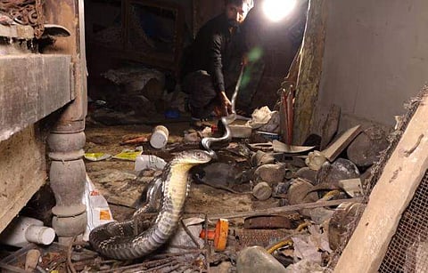 വീഡിയോ ദൃശ്യത്തിൽ നിന്ന്