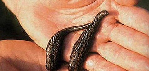 പ്രതീകാത്മക ചിത്രം