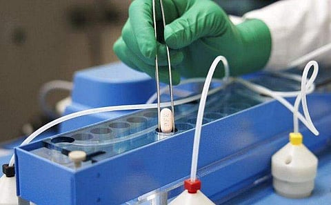 2021 ഒക്ടോബറിൽ ഫൈസർ പുറത്തുവിട്ട ചിത്രം/ എപി