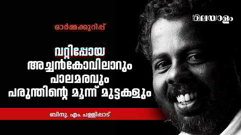 പുഴയനുഭവം; ബിനു എം പള്ളിപ്പാട് ഓര്‍ത്തെടുത്ത നാട്ടുചിത്രങ്ങള്‍