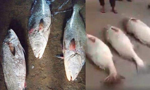 ചിത്രം; ഫേയ്സ്ബുക്ക്