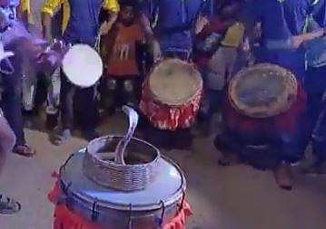 മൂര്‍ഖന്‍ പാമ്പിനെ ഉപയോഗിച്ച് സംഘടിപ്പിച്ച നാഗനൃത്തത്തിന്റെ ദൃശ്യം