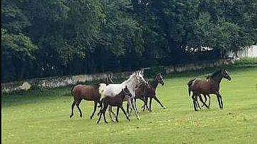പ്രതീകാത്മക ചിത്രം