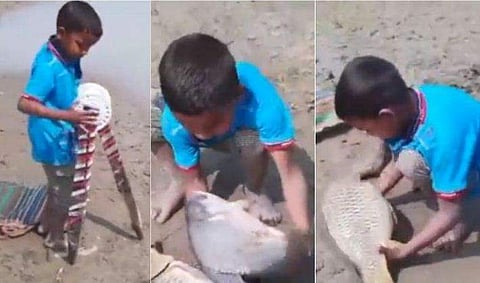 വീഡിയോ ദൃശ്യം