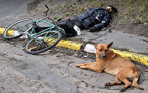 ഫോട്ടോ: എഎഫ്പി