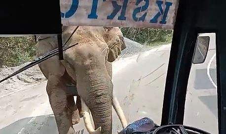 മൂന്നാറില്‍ കെഎസ്ആര്‍ടിസി ബസിന് മുന്നില്‍ കാട്ടുകൊമ്പന്‍