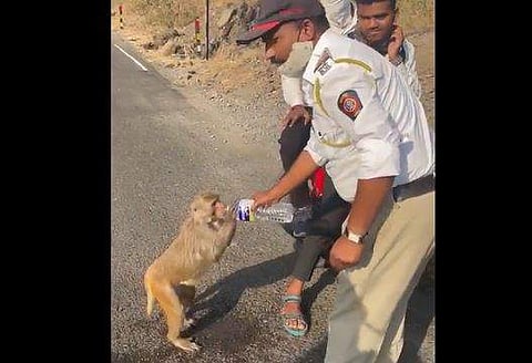 കുരങ്ങന് വെള്ളം നല്‍കുന്ന ട്രാഫിക് പൊലീസുകാരന്‍