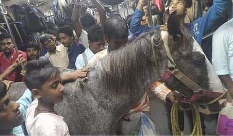 ഫോട്ടോ: ട്വിറ്റർ