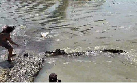 വീഡിയോ ദൃശ്യം