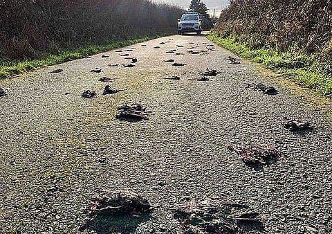 പ്രതീകാത്മക ചിത്രം