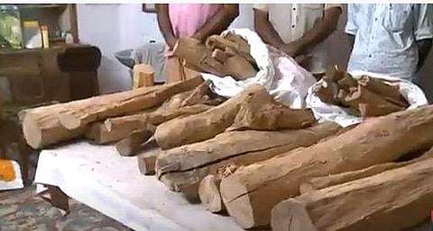 പിടികൂടിയ ചന്ദനത്തടികള്‍/ ടെലിവിഷന്‍ ദൃശ്യം