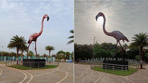 ഫോട്ടോ: ട്വിറ്റർ