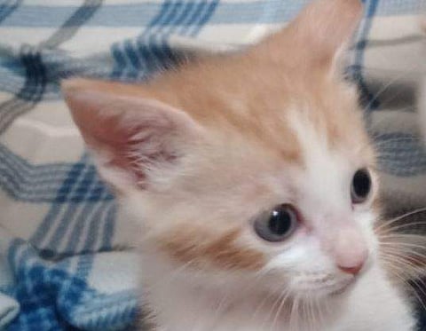 പ്രതീകാത്മക ചിത്രം