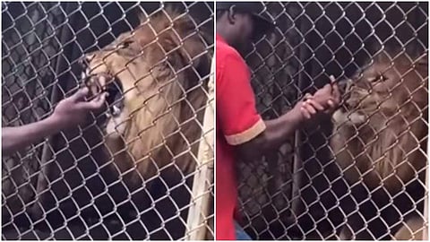 വീഡിയോ ദൃശ്യത്തില്‍ നിന്ന്‌