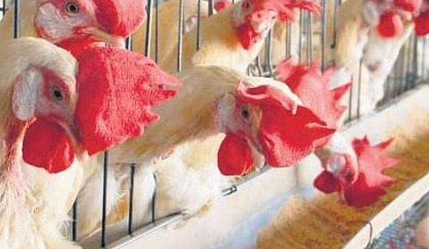 പ്രതീകാത്മക ചിത്രം