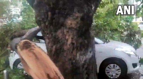 വീഡിയോ ദൃശ്യം