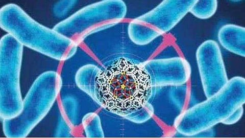 വെസ്റ്റ് നൈൽ വൈറസ്