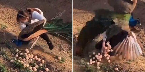 വീഡിയോ ദൃശ്യം