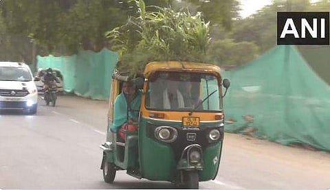 ചെടികള്‍ നട്ടുപിടിപ്പിച്ച ഓട്ടോ