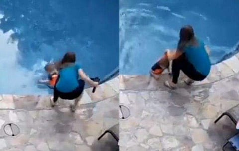 വിഡിയോ സ്ക്രീൻഷോട്ട്