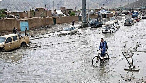 ഫോട്ടോ: ട്വിറ്റർ