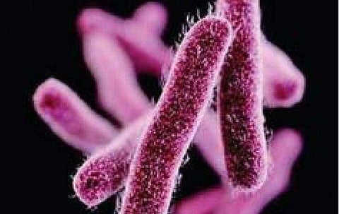 പ്രതീകാത്മക ചിത്രം