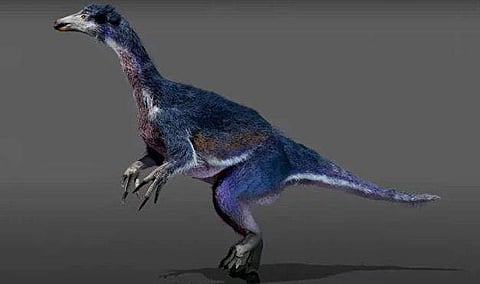 വീഡിയോ ദൃശ്യം