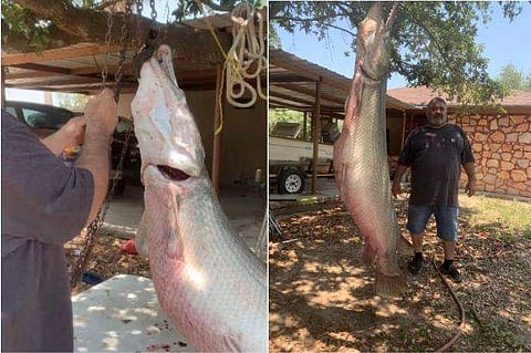 ചിത്രം; ഫേയ്സ്ബുക്ക്