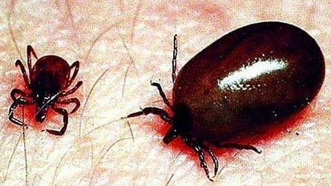 പ്രതീകാത്മക ചിത്രം