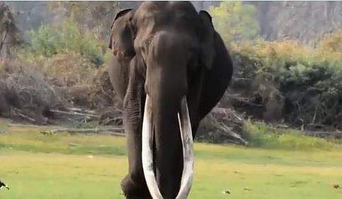 ഭോഗേശ്വര