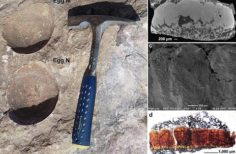 ഫോട്ടോ: ട്വിറ്റർ