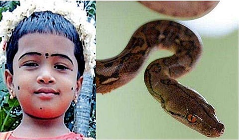 മരിച്ച സുഷ്‌വിക