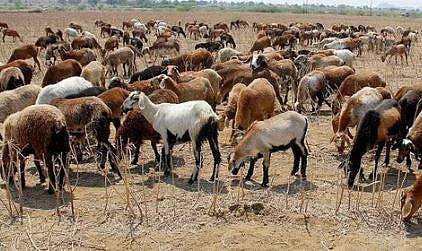 പ്രതീകാത്മക ചിത്രം