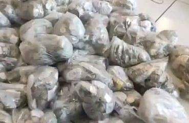 പത്തുരൂപയുടെ നാണയക്കെട്ടുകള്‍