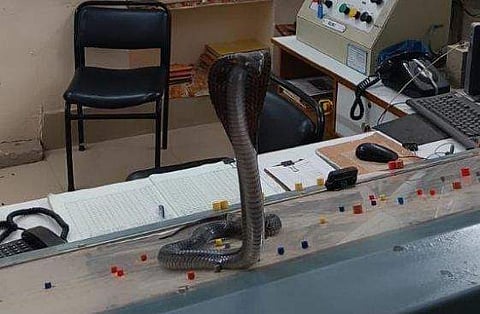 വൈറല്‍ ദൃശ്യം