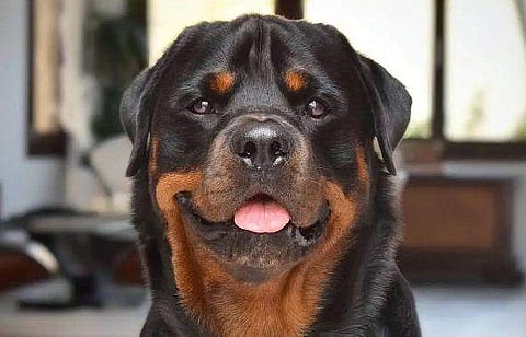 പ്രതീകാത്മക ചിത്രം