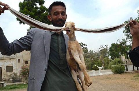 ചിത്രം: ട്വിറ്റർ