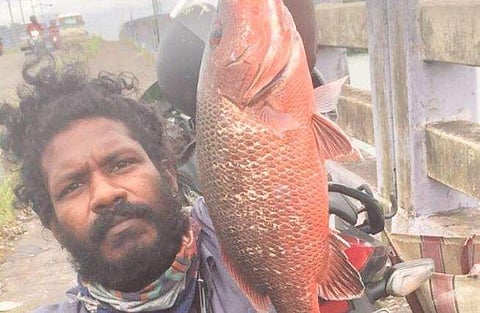 അജേഷ് ജേക്കബ്