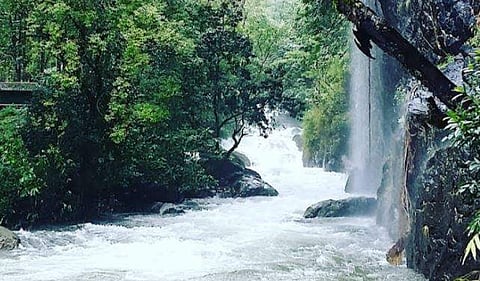 എളമ്പിലേരി പുഴ/ഫെയ്‌സ്ബുക്ക്