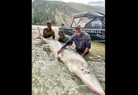 ചിത്രം; ഫേയ്സ്ബുക്ക്