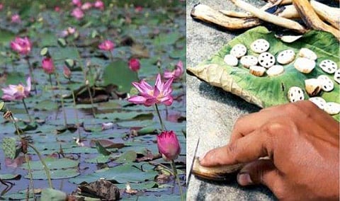 പ്രതീകാത്മക ചിത്രം