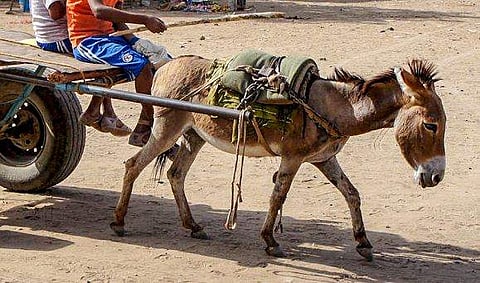 പ്രതീകാത്മക ചിത്രം