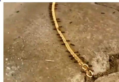 വിഡിയോയില്‍നിന്ന്‌