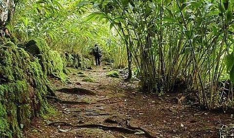 പ്രതീകാത്മക ചിത്രം