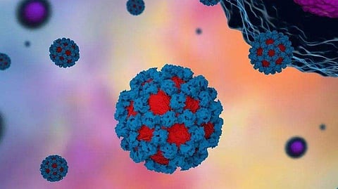 പ്രതീകാത്മക ചിത്രം