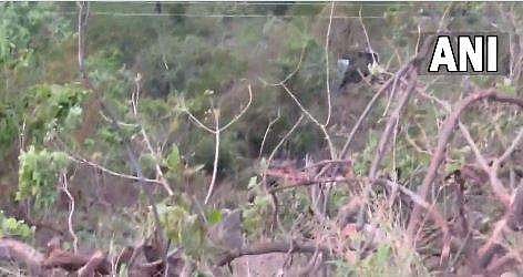 അപകടത്തില്‍പ്പെട്ട ബസ്