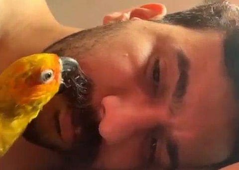 വീഡിയോ ദൃശ്യം