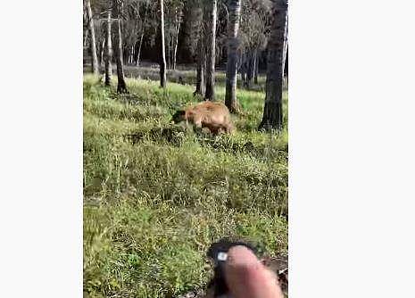 ദൃശ്യങ്ങള്‍ പകര്‍ത്തുന്നതിനിടെ, പിന്തുടരുന്ന കരടി